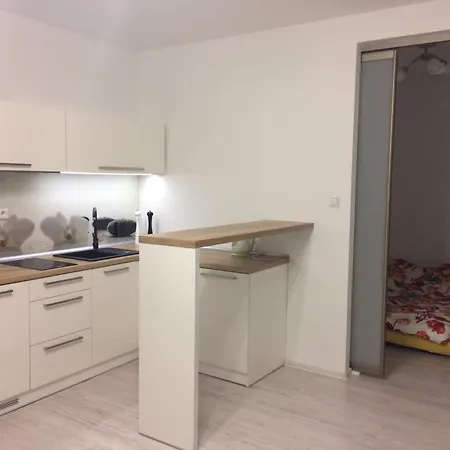 Nosal View & Spa-apartamenty Pod Nosalem&spa דירה זקופאנה