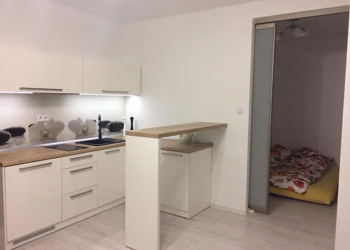 Nosal View & Spa-apartamenty Pod Nosalem&spa דירה זקופאנה