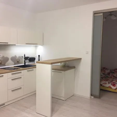 Apartment Nosal View & Spa-apartamenty Pod Nosalem&spa *